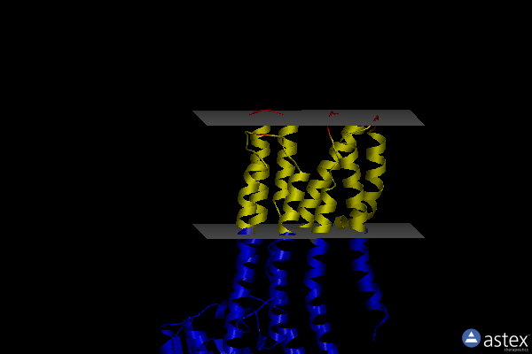 Membrane view of 7r0g