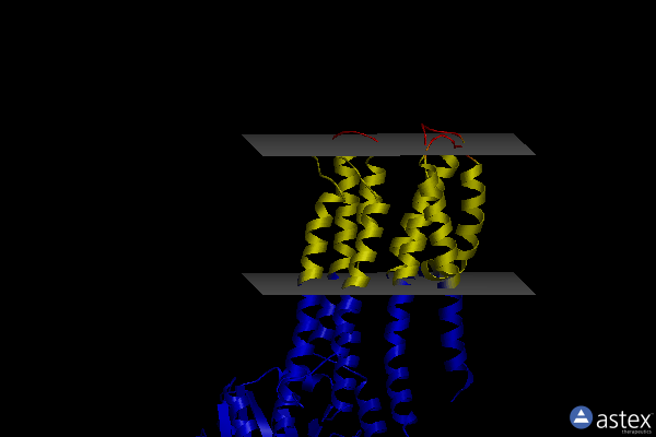 Membrane view of 7r0h