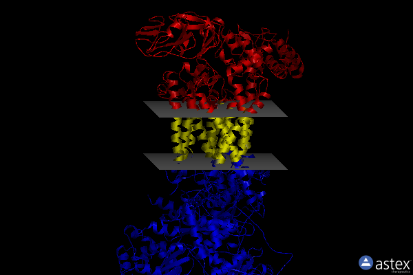 Membrane view of 7r3v