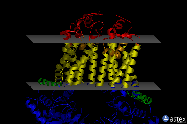 Membrane view of 7r87