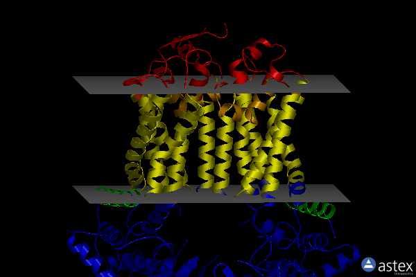 Membrane view of 7r89