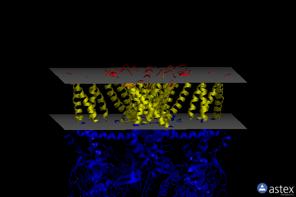 Membrane view of 7ras