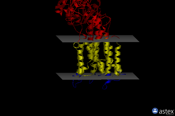 Membrane view of 7rd6