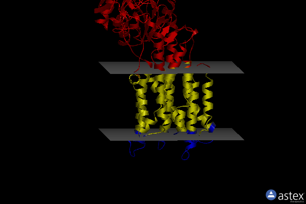 Membrane view of 7rd7