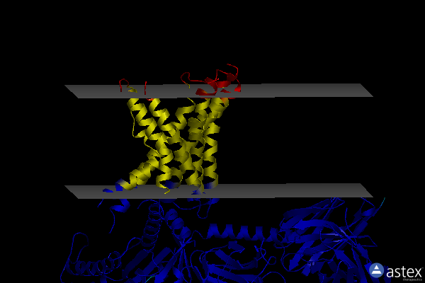 Membrane view of 7rg9
