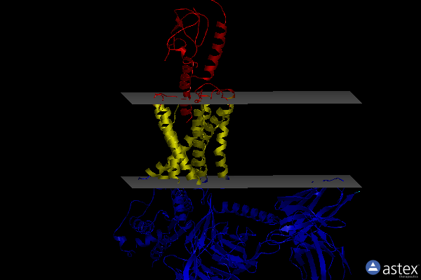 Membrane view of 7rgp