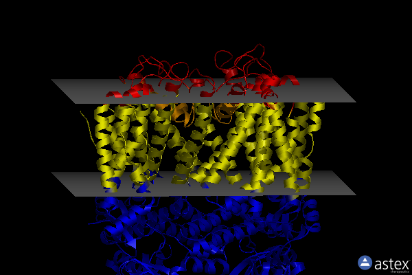 Membrane view of 7rhj