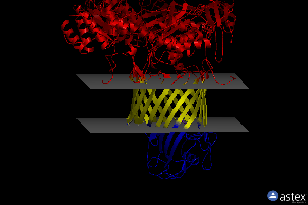Membrane view of 7rj5