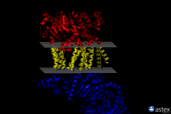 Membrane view of 7rjb