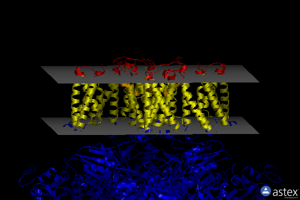 Membrane view of 7rk6