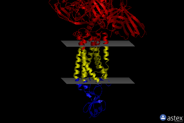 Membrane view of 7rkm