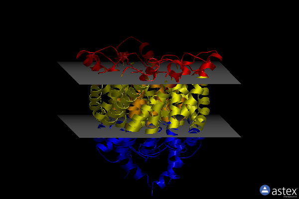 Membrane view of 7rnx