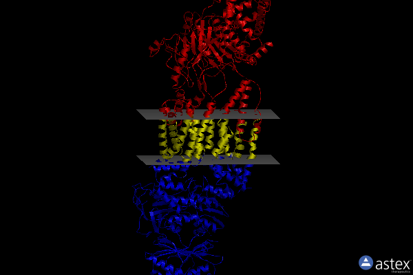 Membrane view of 7roq