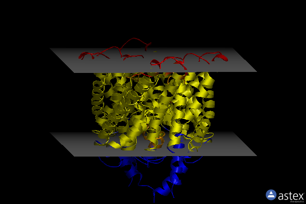Membrane view of 7rp6