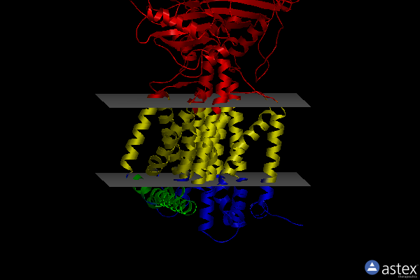 Membrane view of 7rpi