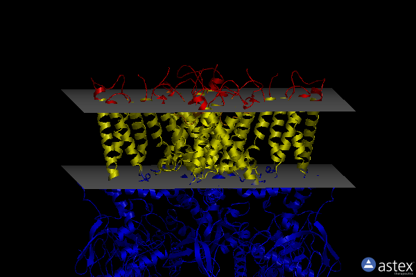 Membrane view of 7rqv