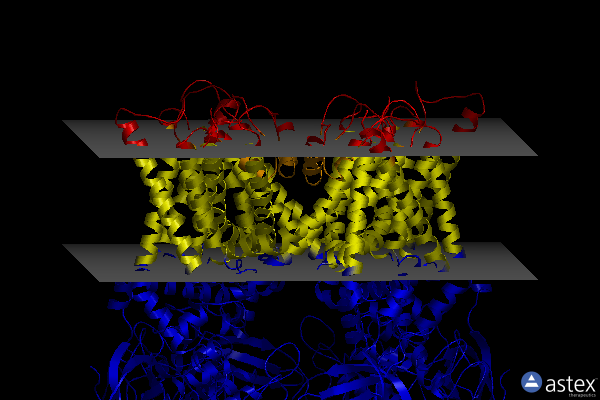 Membrane view of 7rqw