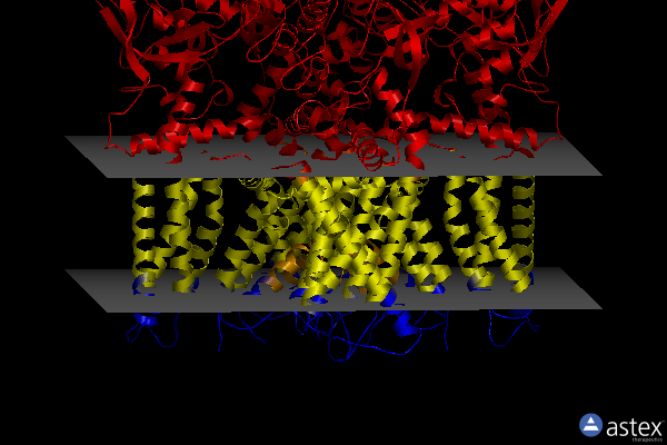 Membrane view of 7rqx