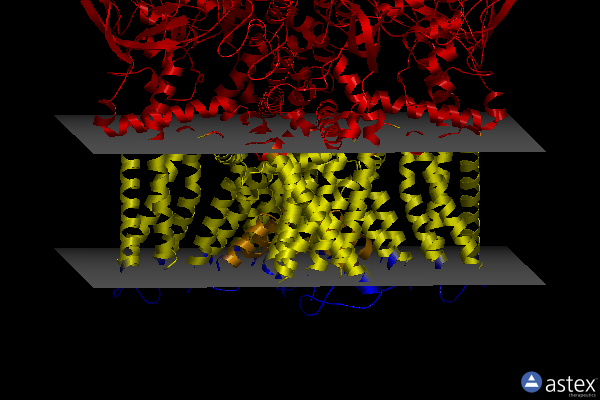 Membrane view of 7rqy