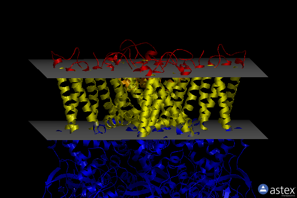 Membrane view of 7rqz