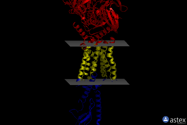 Membrane view of 7rtb