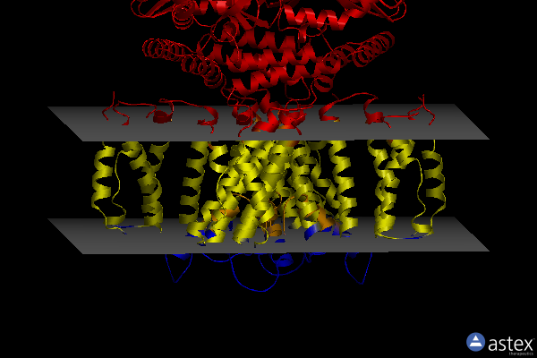 Membrane view of 7rtj