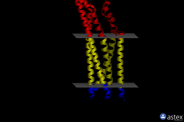 Membrane view of 7rtv