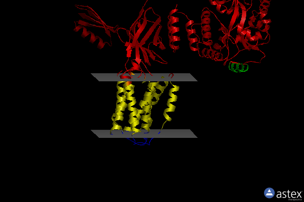 Membrane view of 7rxc