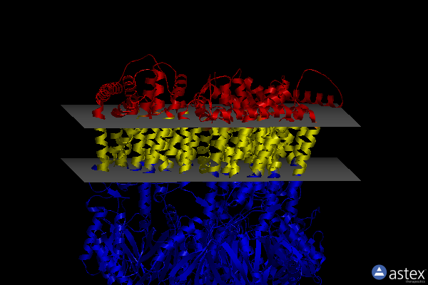 Membrane view of 7ry3