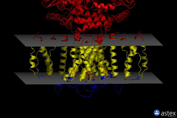 Membrane view of 7rys