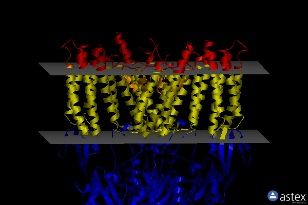 Membrane view of 7ryz