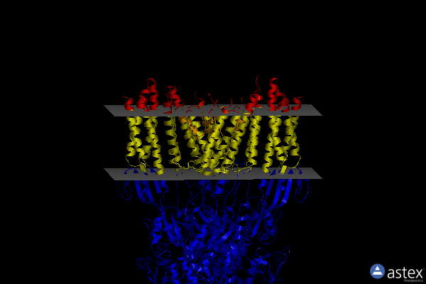 Membrane view of 7rz6