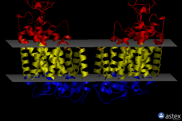 Membrane view of 7s1y