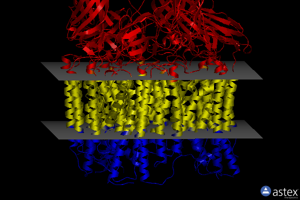Membrane view of 7s4h