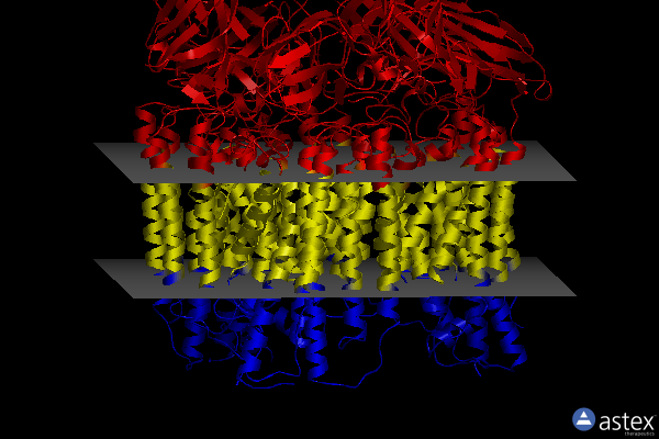 Membrane view of 7s4i