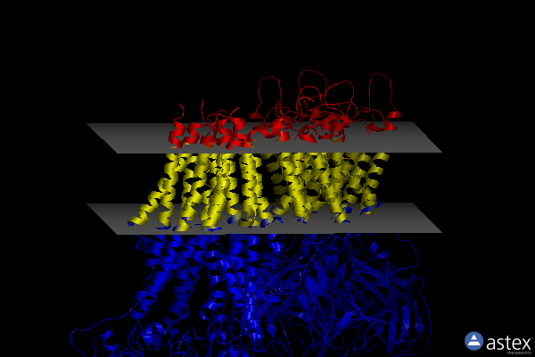 Membrane view of 7s5y