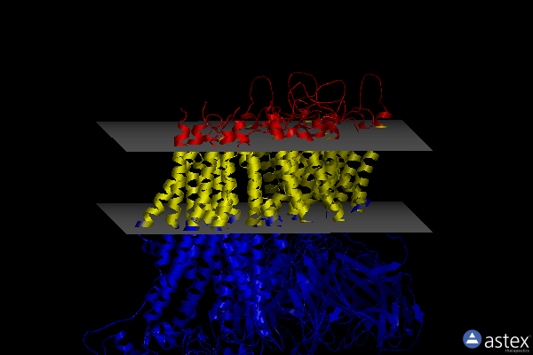 Membrane view of 7s60