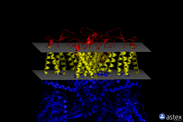 Membrane view of 7s89