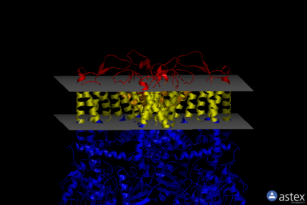Membrane view of 7s8c