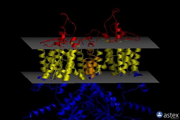 Membrane view of 7s9a