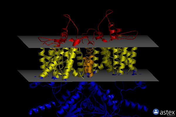 Membrane view of 7s9c