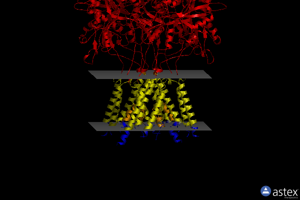 Membrane view of 7sab