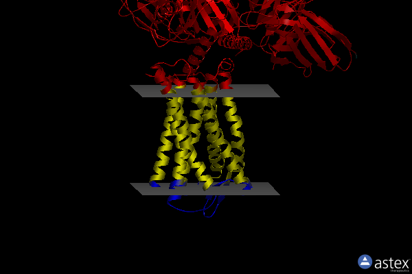 Membrane view of 7scg
