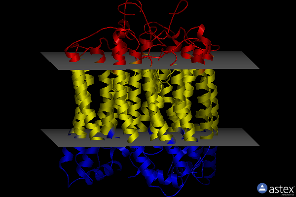 Membrane view of 7sfj