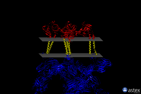 Membrane view of 7sfw