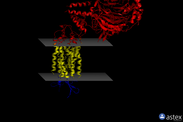 Membrane view of 7shf