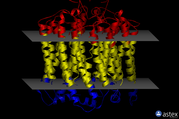 Membrane view of 7shs