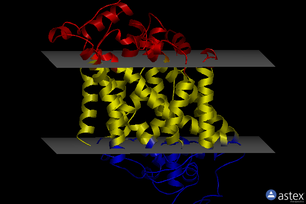 Membrane view of 7sk2