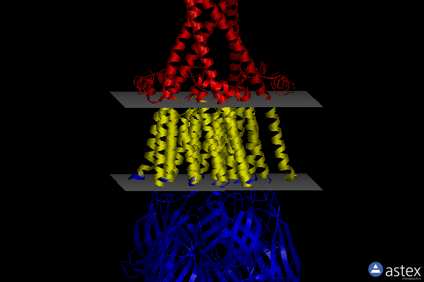 Membrane view of 7smm