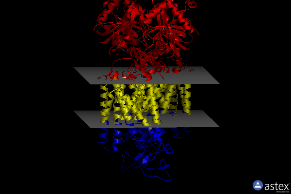 Membrane view of 7smp